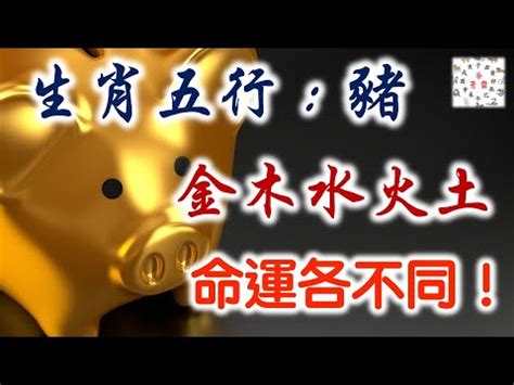 屬豬的小人|【十二生肖】屬豬人：命中的貴人與小人！